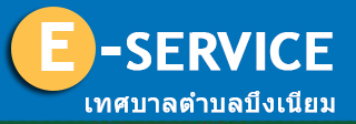 E service
